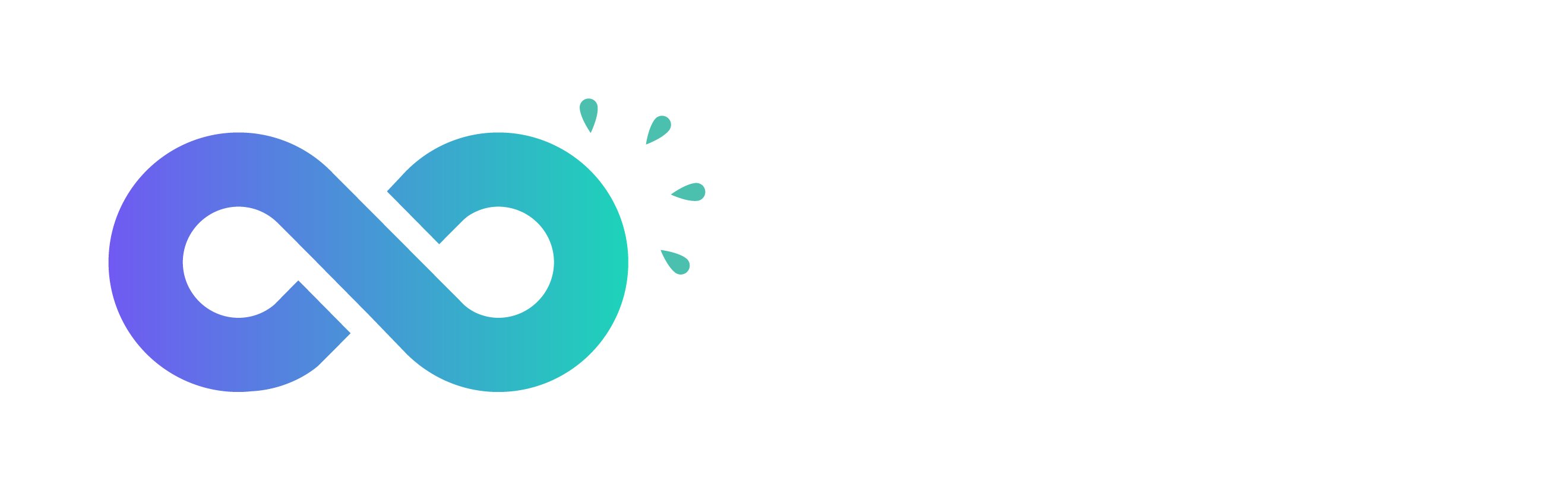 Website Logo